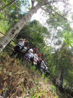 /album/fotogaleria/payande-23-jpg/